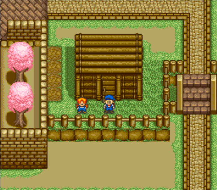 Fortune Teller's House