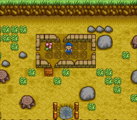 Secret Garden